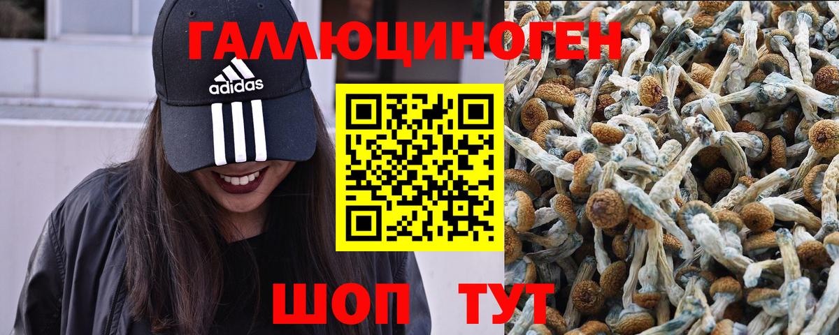 Галлюциногенные грибы прущие грибы  Вход с VPN  Кунгур 