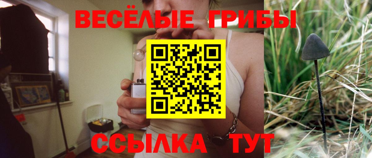 Псилоцибиновые грибы мицелий Кунгур