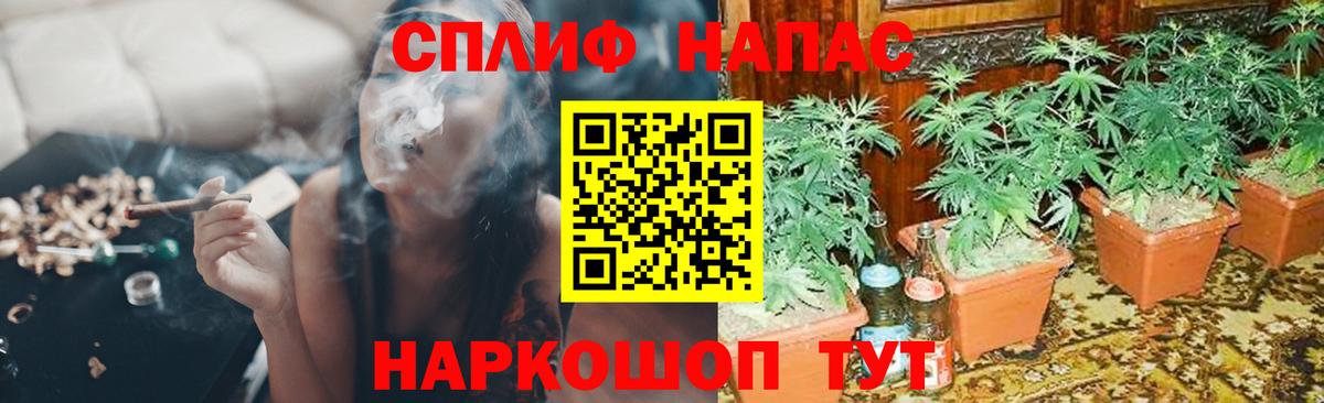 Кунгур  Бошки марихуана THC 21%  Вход с VPN  Каннабис тримм  Шишки марихуана конопля 
